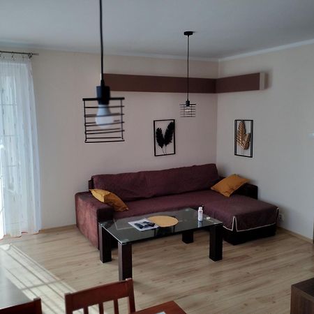Green Apartment Z Bezplatnym Parkingiem Olsztyn  Exterior photo