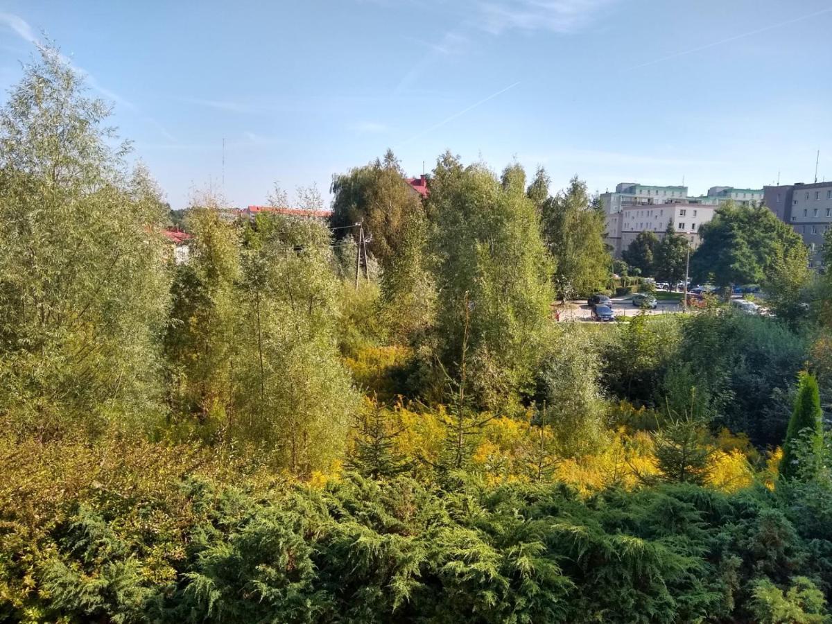 Green Apartment Z Bezplatnym Parkingiem Olsztyn  Exterior photo